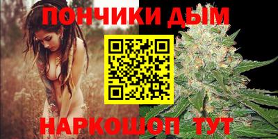 прущие грибы Беслан