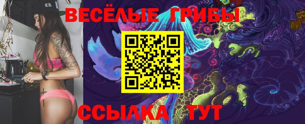 Псилоцибиновые грибы мицелий Балахна
