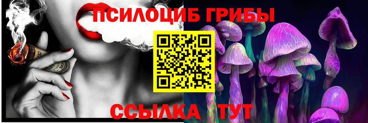 Балахна  Псилоцибиновые грибы Psilocybine cubensis  Вход с VPN  Галлюциногенные грибы Magic Shrooms 